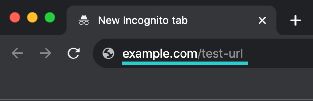 entering URL in to incognito browser